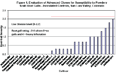 Evaluation of Advanced Clones for Suseptibility to Powdery Scab Root Galls - Inoculated Controls, San Luis Valley, Colorado 