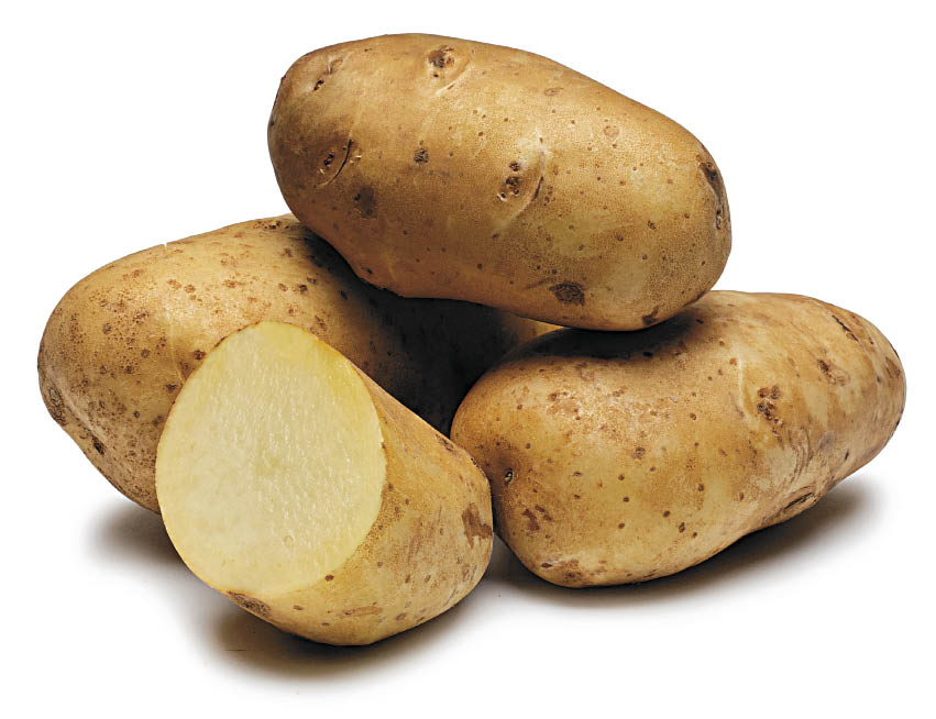 Potatoes picture. Сорт Спунта картофель. Сорт картошки Айдахо. Картофель pdf. Картофель мультяшный.