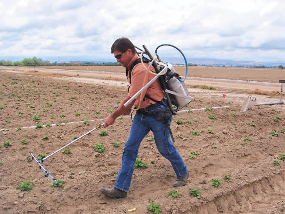 UI Plant Physiologist Mike Thornton