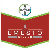 Emesto