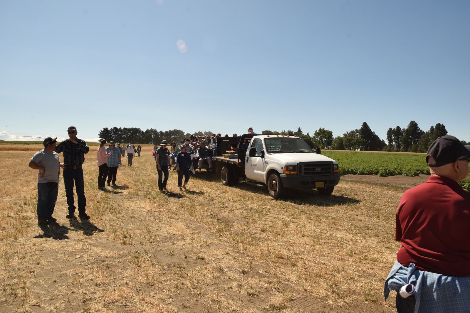 OSU Takes Field Day Online - Potato Country